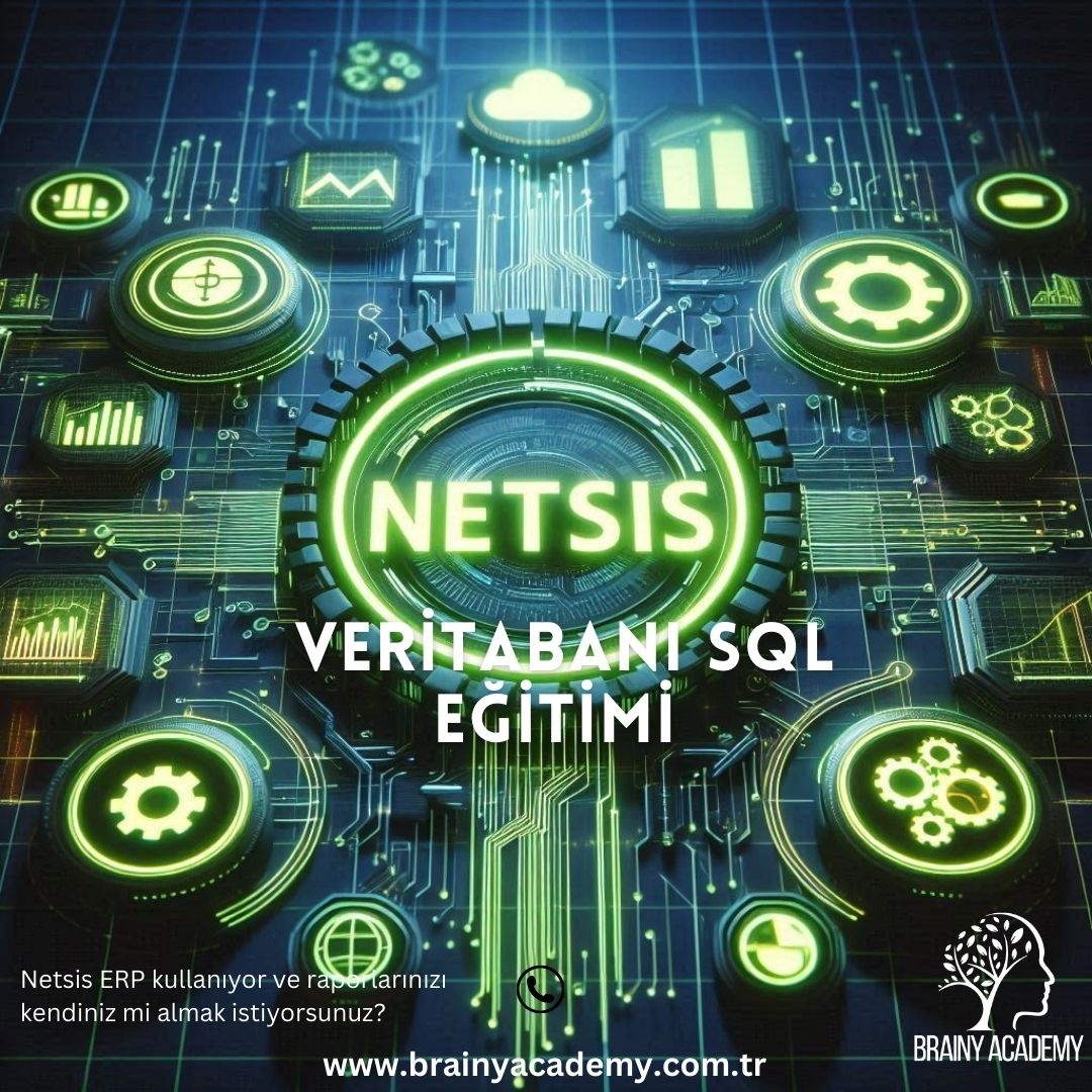 Veritabanı Yönetim Sistemi Netsis Veritabanı Uygulamalı SQL Eğitimi