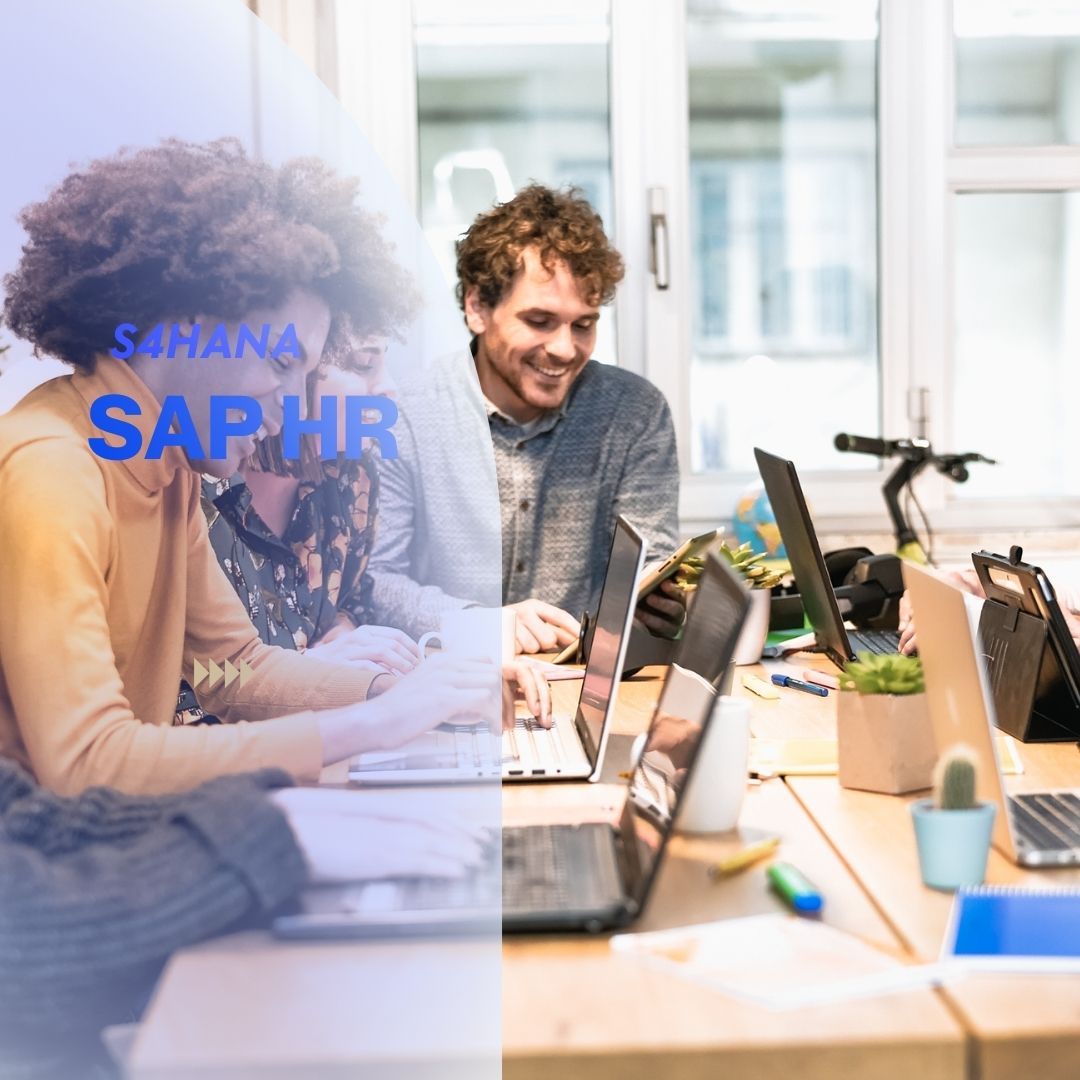 SAP ERP İnsan Kaynakları ve Bordro Uygulamaları HR Modülü Eğitimi