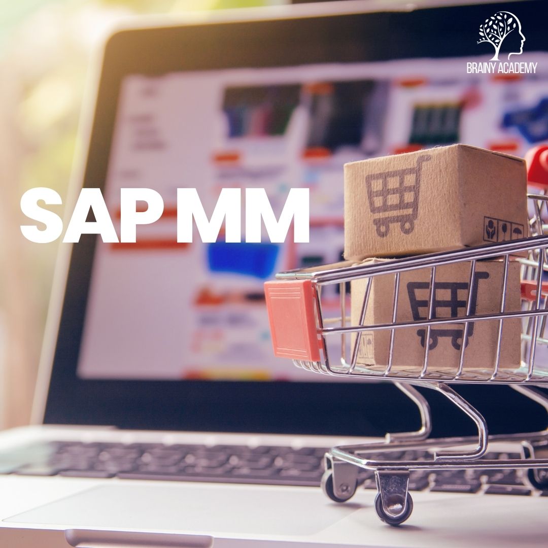 SAP MM Malzeme Yönetimi Modülü Kullanıcı Eğitimi